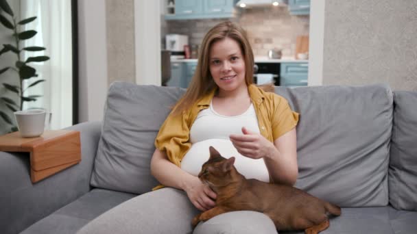 Urocze i słodkie 20s Uśmiechnięta kobieta siedzieć na kanapie i cieszyć się pieszczoty Funny Cat — Wideo stockowe