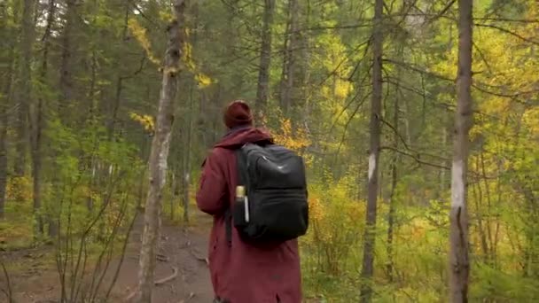 Camper Traveler dos anos 30 caminha em uma viagem de aventura em paisagem ambiente natural — Vídeo de Stock