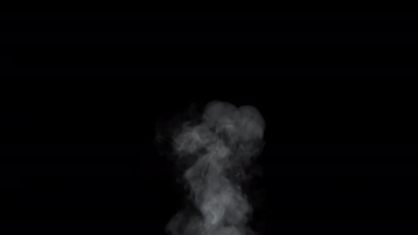 Realistic Gray Atmospheric Smoke Slowly Floating Fills the Gloom Visual Template — Stock Video