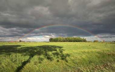Gökkuşağının üstünde yeşil çayır