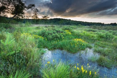 moorland ve nehir üzerinde fırtınalı gökyüzü 
