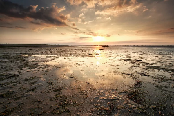 Zonsondergang over de kust van de zee van de Wadden — Stockfoto