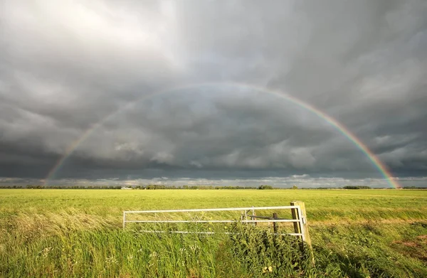 Großer Regenbogen über der grünen Wiese — Stockfoto