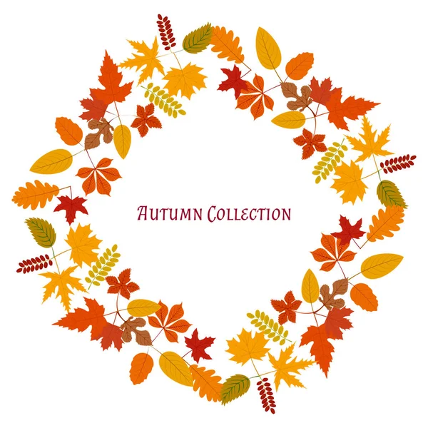 Herfst frame. Vector achtergrond. Vectorillustratie. Floral vector patroon. Grafische modevormgeving. Beauty concept. Heldere kleuren de bladeren. Sjabloon voor prints, textiel, verpakking en decoratie. — Stockvector