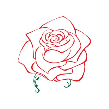 Gül kroki. Çiçek tasarım öğesi. Vektör çizim. Zarif çiçek anahat tasarımı. Beyaz arka plan üzerinde izole kırmızı sembolü. Soyut yükseldi. İyi tasarım, logo veya dekorasyon için