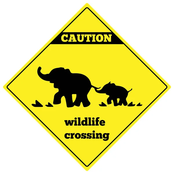 Fil trafik işaretleri dikkat edin. Trafik işaretleri uyarı fil. Beyaz bir arka plan üzerinde izole uyarı trafik işareti. Geçiş yaban hayatı