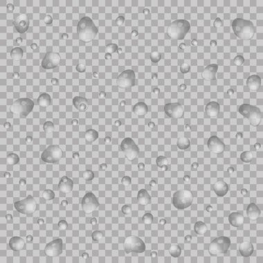 Gerçekçi su şeffaf arka plan üzerinde bırakır. Vektör çizim. Temiz açılan yoğunlaşma herhangi bir arka plan ile kullanılabilir. Afiş, el ilanı, davet için.