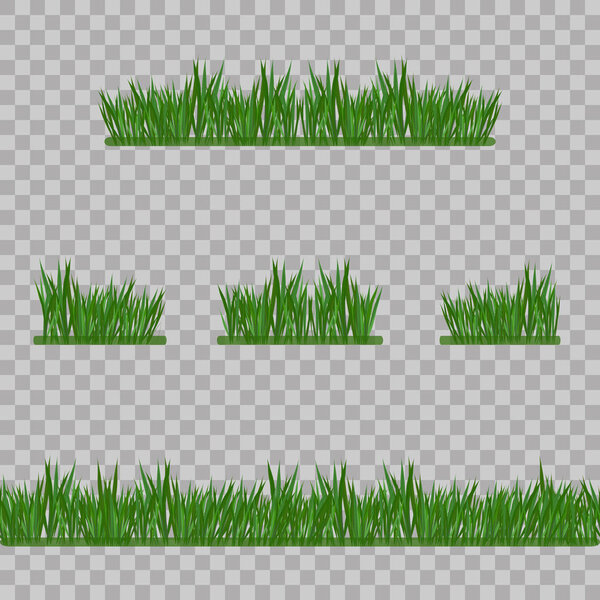 Set Green Grass Borders, Vector Illustration. Abstract field texture. Symbol of summer,plant, eco and natural, growth or fresh. Design for card, banner. Meadow template for print products.