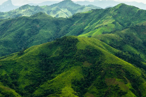 Paisaje verde con colinas — Foto de Stock