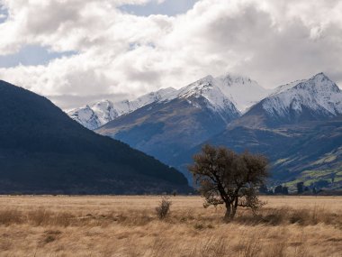 Vahşi Dağları ve ağaçları ile
