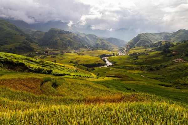 Valley with rive paddy fields — Stock Photo, Image