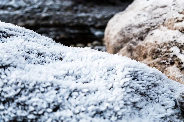 Мороз на вирощуванні на каменях — стокове фото