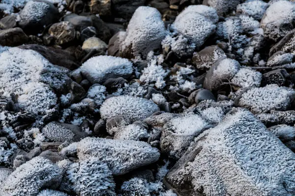 Мороз на скалах — стоковое фото