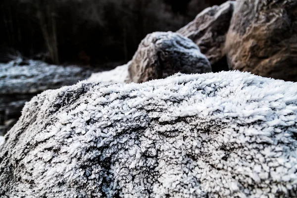 Frost on growning on rocks — Stock Photo, Image