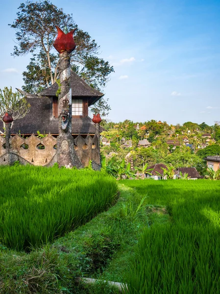 Antiguo edificio en el campo de arroz de Indonesia — Foto de Stock