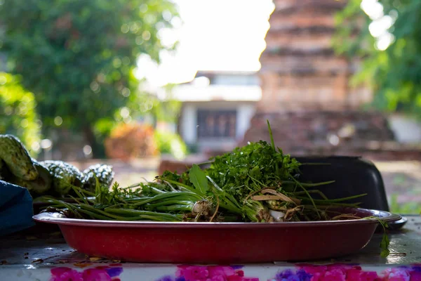 Freshly picked green ingredients on a plate — Stock Photo, Image