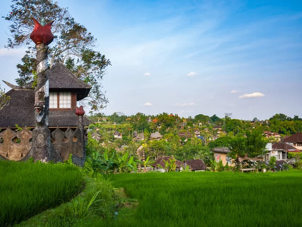 Casa de estilo asiático en un campo de arroz en Bali — Foto de Stock