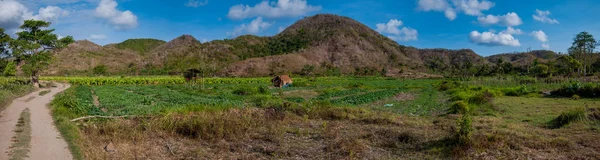 Panorámás, a mezőgazdasági földterületek, Bali, Indonézia — Stock Fotó