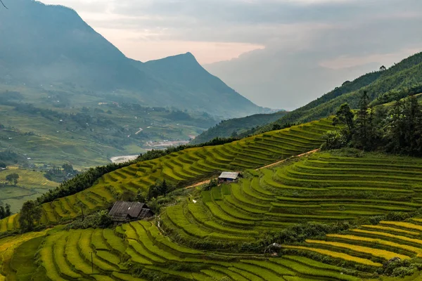 Rice fields in a valley in Vietnam