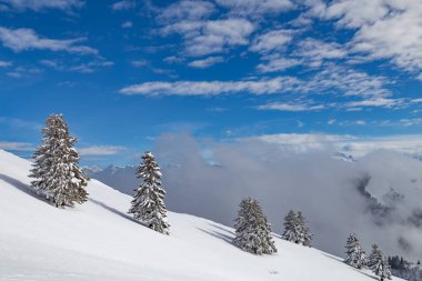 Kar manzara bulutlar ve ağaçları ile kaplı