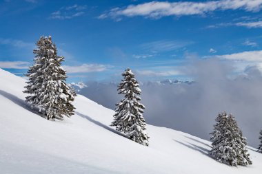 Kar manzara bulutlar ve ağaçları ile kaplı