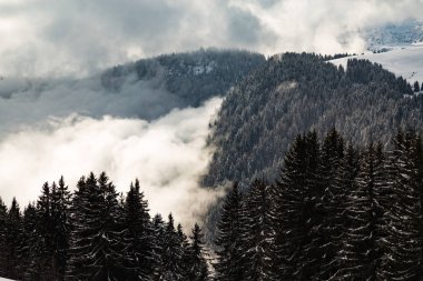 Bulutlar kaplı ağaç Dağları ile kaplı vadi