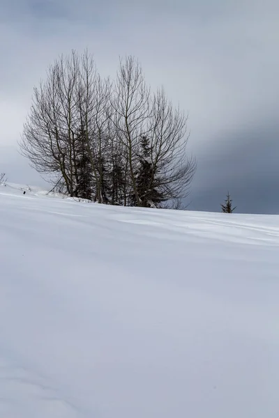 Hory pokryté sněhem a obklopen mraky — Stock fotografie