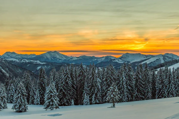 Горы с солнечным светом над свежим снегом — стоковое фото