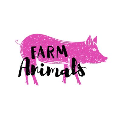 Harfli bir domuzun silüeti. Vektör rozetli çiftlik hayvanları.