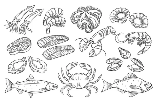 Ručně Tažené Mořské Plody Dekorativní Ikony Oliheň Chobotnice Losos Ústřice — Stockový vektor