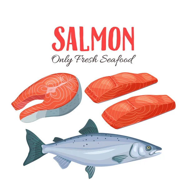 Stel Zalmvector Illustratie Fillet Biefstuk Vis Zalm Tekenfilmstijl Ontwerp Van — Stockvector