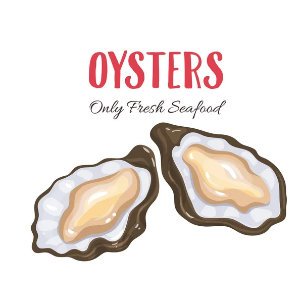 Oysters Vector Illustration Cartoon Style Seafood Product Design — Stock Vector