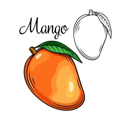 Mango vektör çizimi simgesi