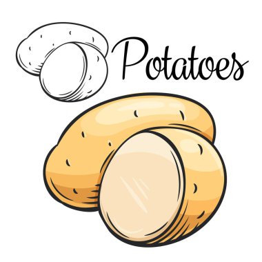 Patates vektörü çizimi simgesi