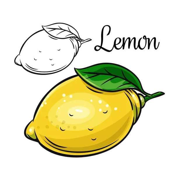 Icona di disegno vettoriale limone — Vettoriale Stock