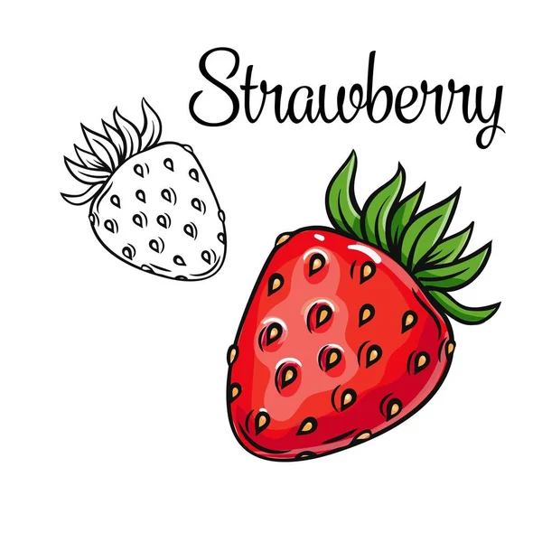 Strawberry vector drawing icon. — Stock Vector