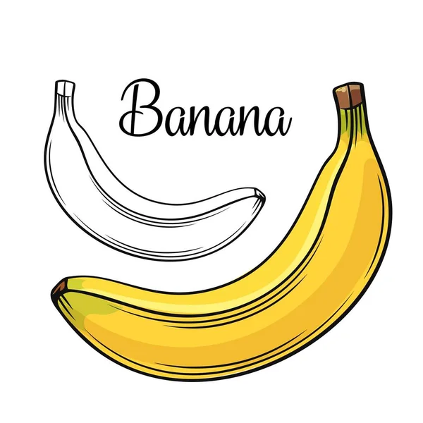 Ícone de desenho vetorial de banana — Vetor de Stock
