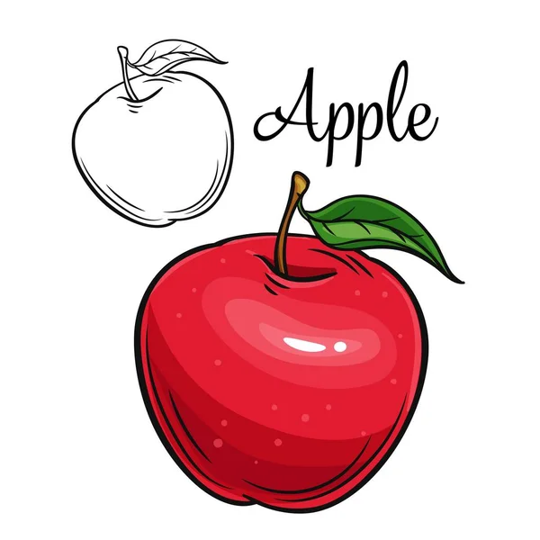 Apple vector drawing icon — Stock Vector