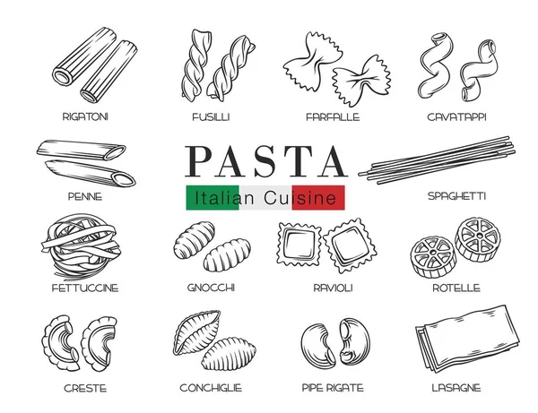 Types Italian pasta or macaron — Stock Vector