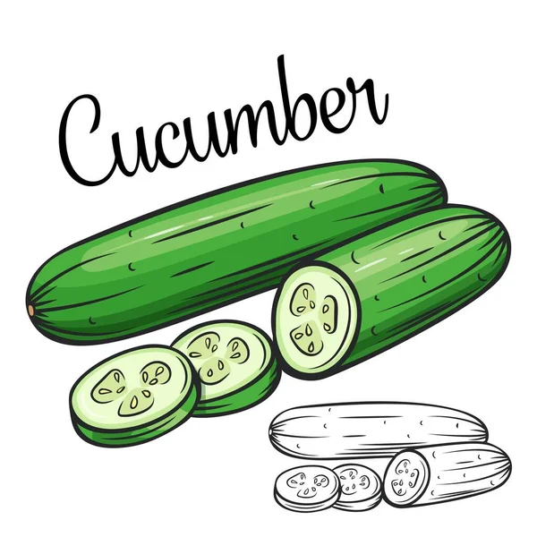 Cucumber vector drawing icon — 스톡 벡터