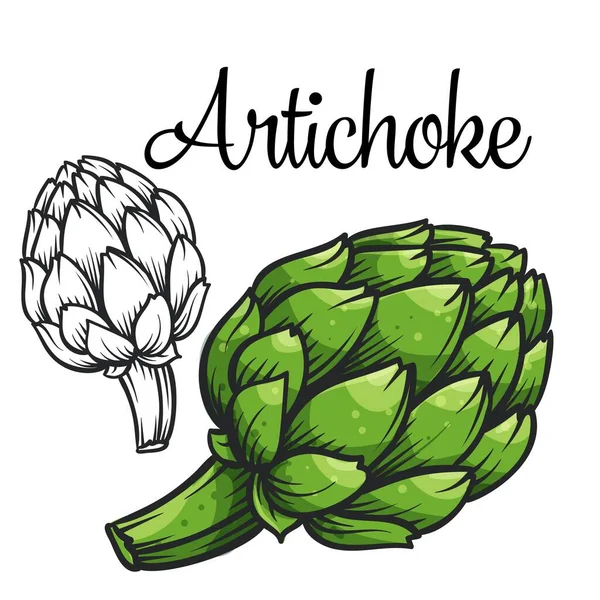 Artichoke vector drawing icon — Stock Vector