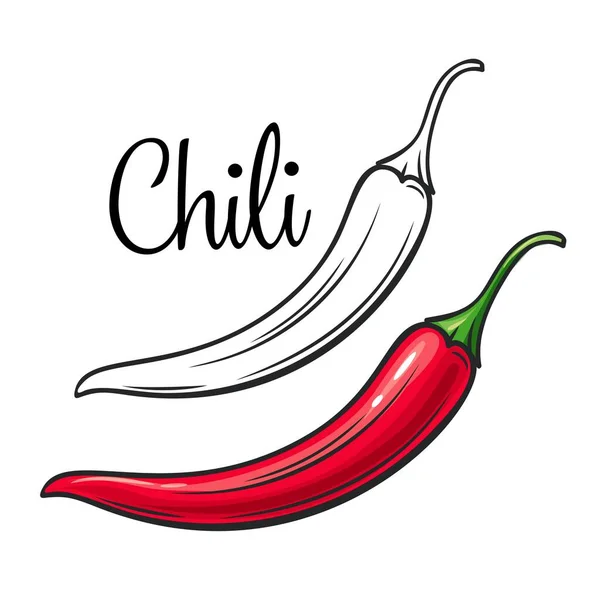 Chili vector drawing icon — Stock Vector