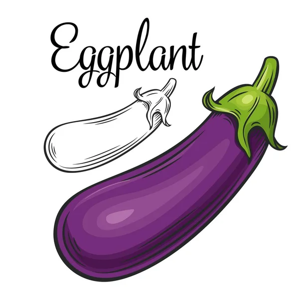 Eggplant vector drawing icon — Stock Vector