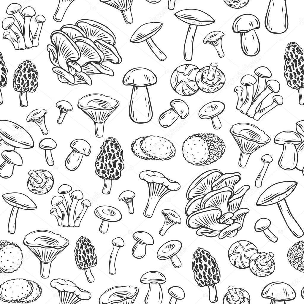 Edible mushrooms outline