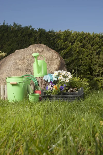 Narzędzia ogrodnicze na trawie w ogrodzie — Zdjęcie stockowe