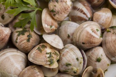 istiridye çok eski plaka 