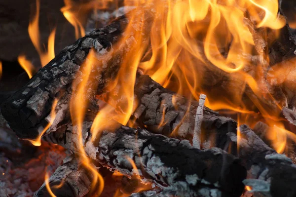 Ein großes rotes Lagerfeuer Nahaufnahme — Stockfoto