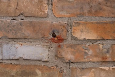 Eski turuncu tuğla duvar deseni. Tuğla. Güzel duvar kağıdı. Eski duvarın stok fotoğrafı.