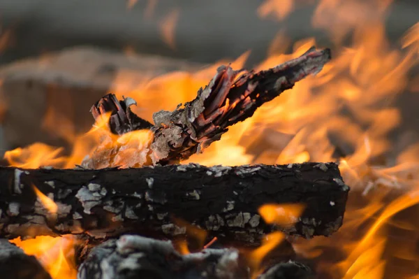 Ein Großes Rotes Lagerfeuer Nahaufnahme — Stockfoto