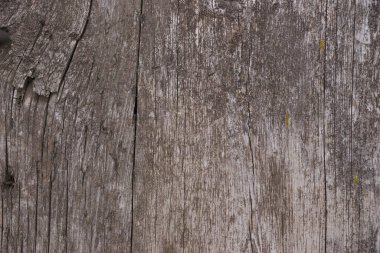 Eski ahşap desenli yüzey yakın çekim. Yüzeyde yosun ve rahatlama. Eski tahta desenli yosunlu tahta resimleri. Fotoğrafta kahverengi ve gri renkler.